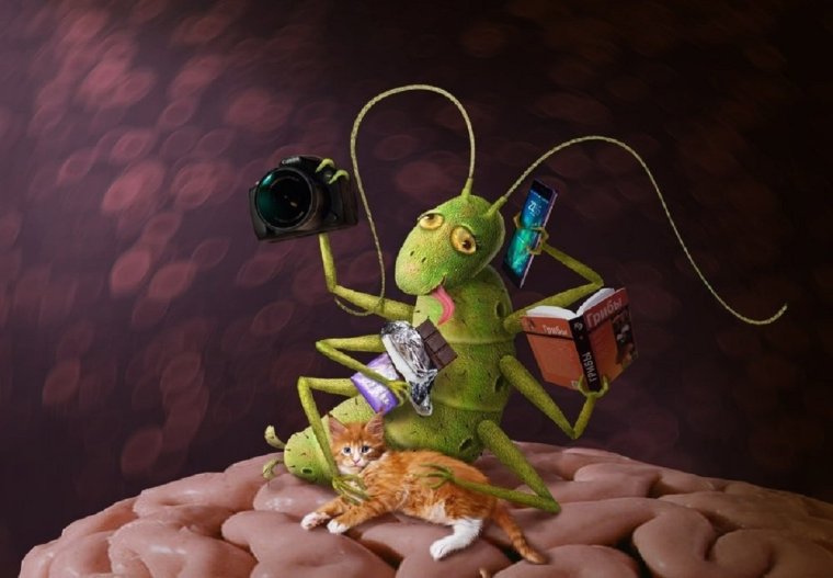 Смешной таракан