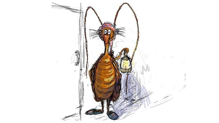 Таракан по МК Евгении Колотовкиной