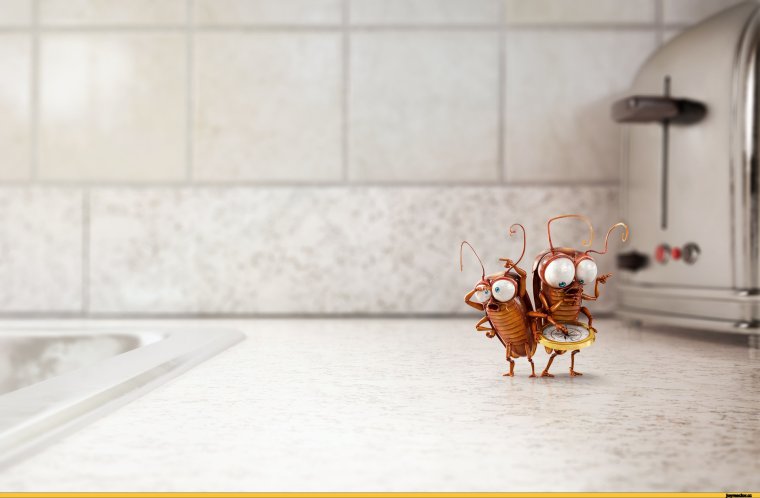 Гигантский кузнечик