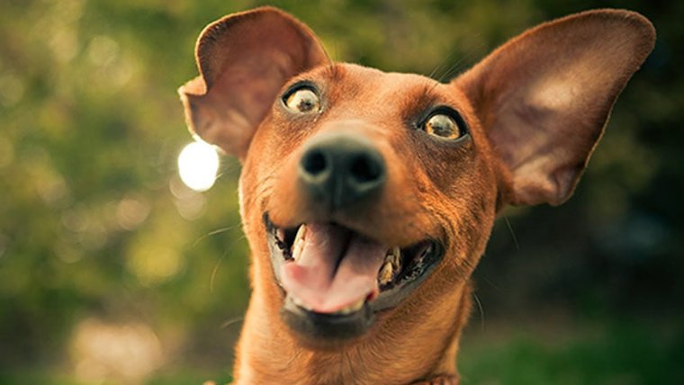 Прикольные для поднятия настроения