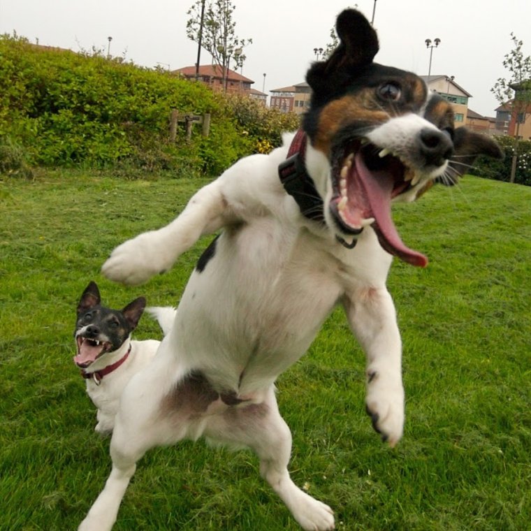 Не зли меня убью