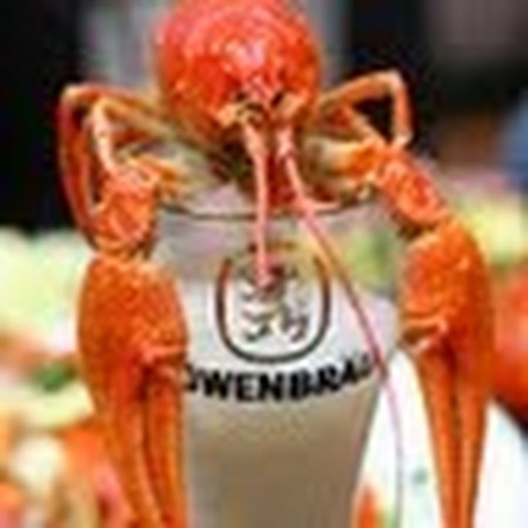 Кот и креветки