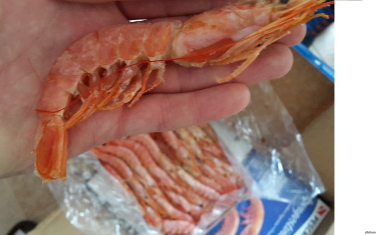 Ратан креветка