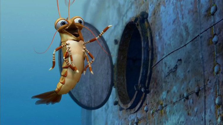 Red Cristall Shrimps