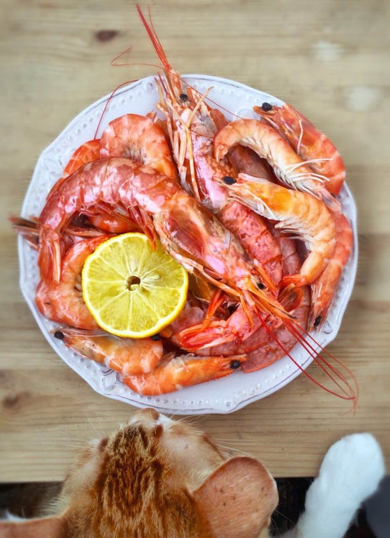 Морепродукты прикол