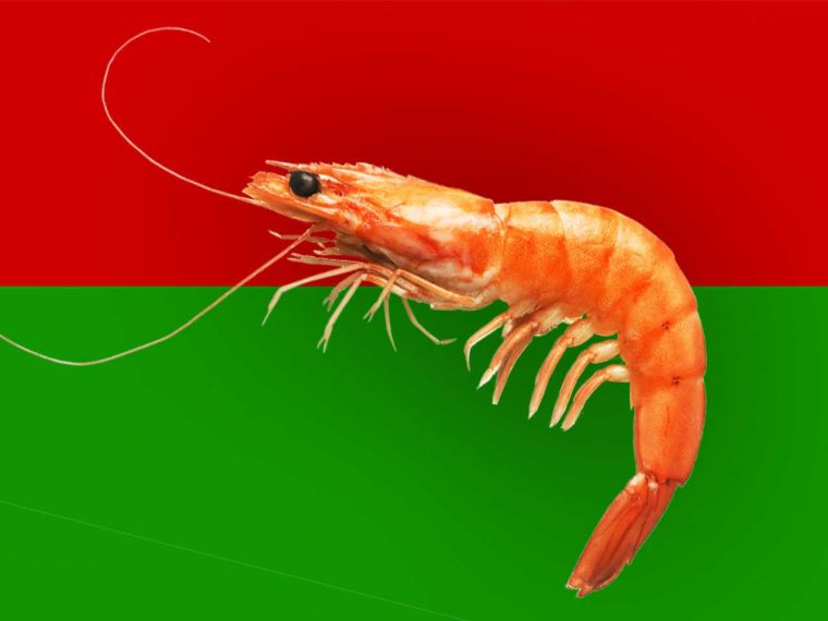 Креветка из мультика делай ноги