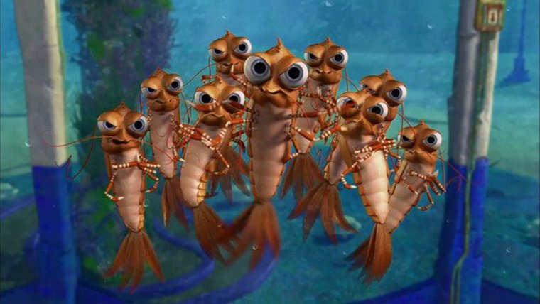 Подводная братва креветка креветка