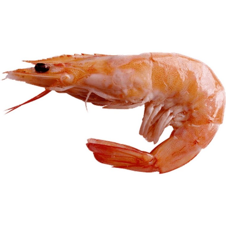 Краб поймал рыбу