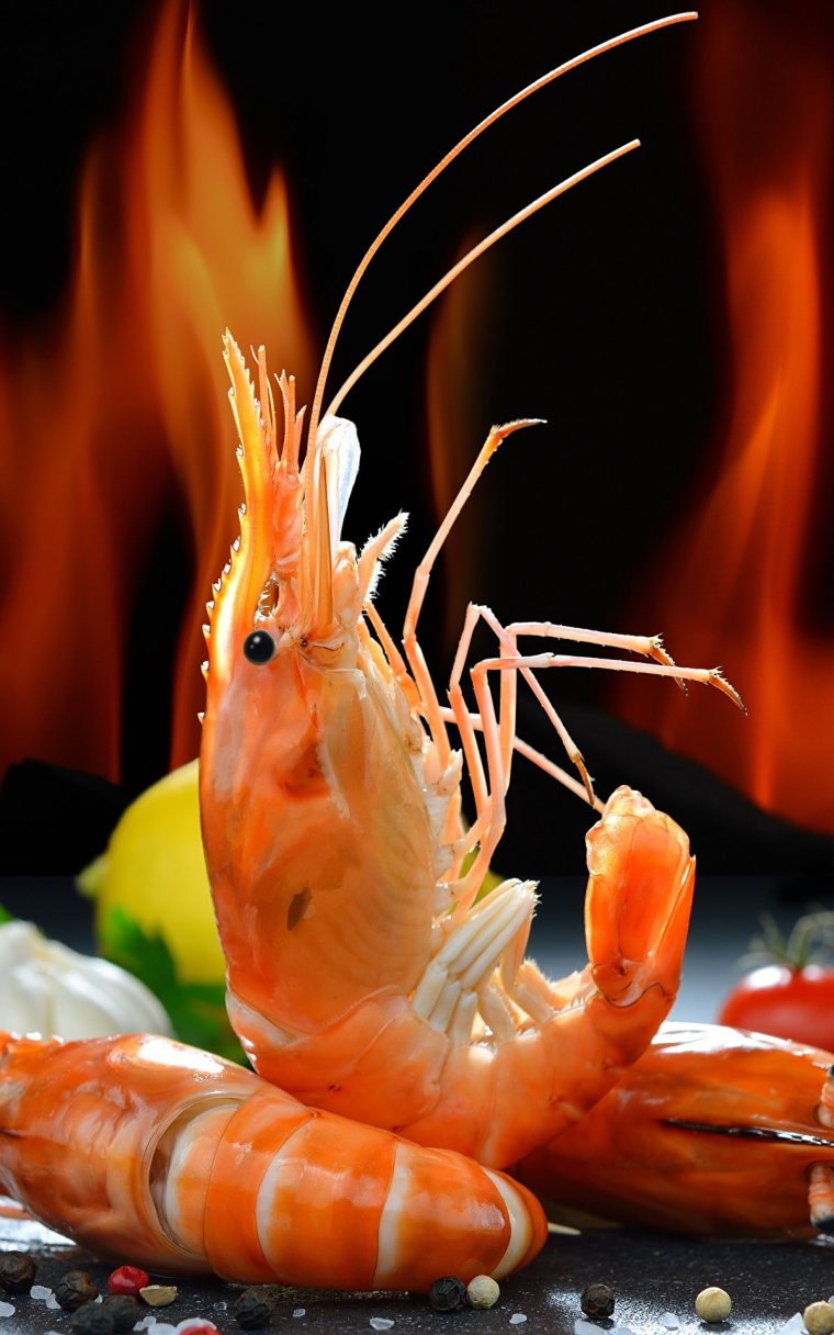 Креветка Амано