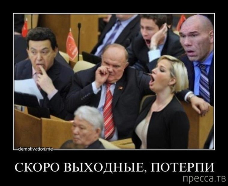 Депутаты юмор