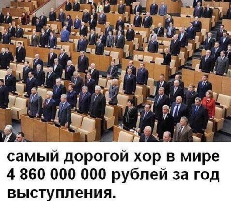 Госдума рисунок смешной