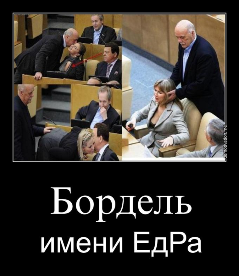 Депутаты приколы