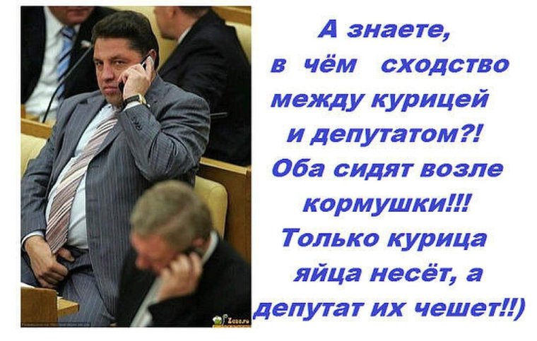 Депутаты приколы