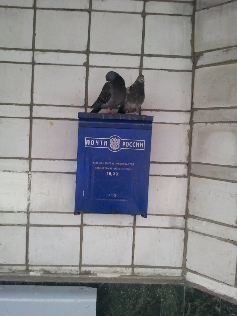 Почта России смешные