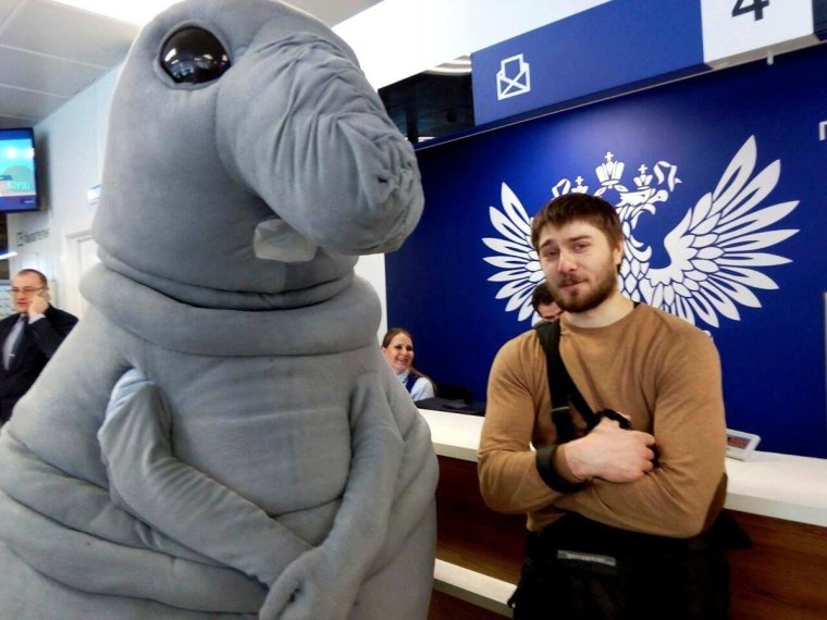 Кошка почтальон