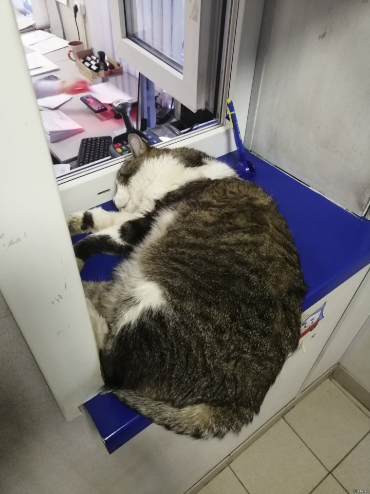 Почта России приколы