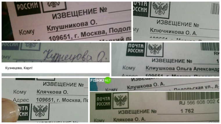 Кошка на почте