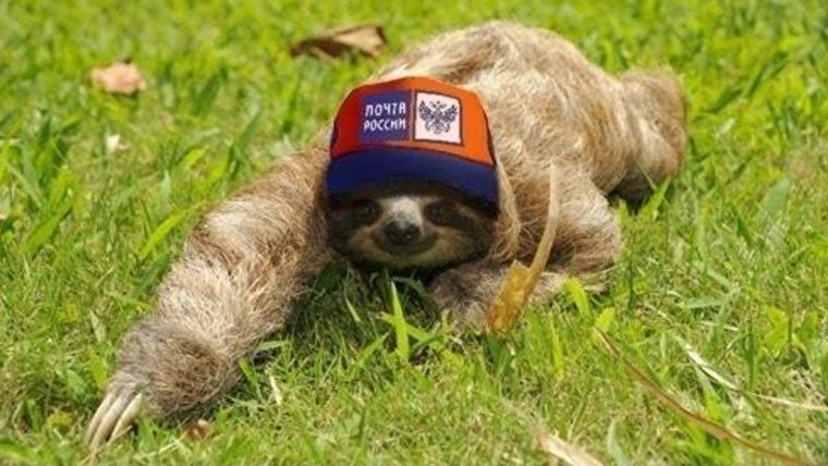 Смешная посылка