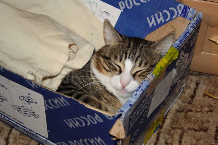 Смешные посылки почты России