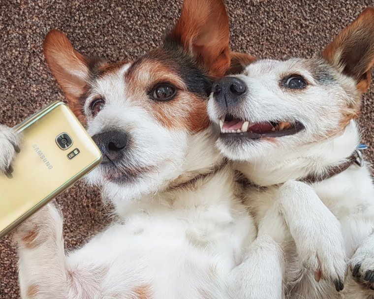 Селфи с щенком