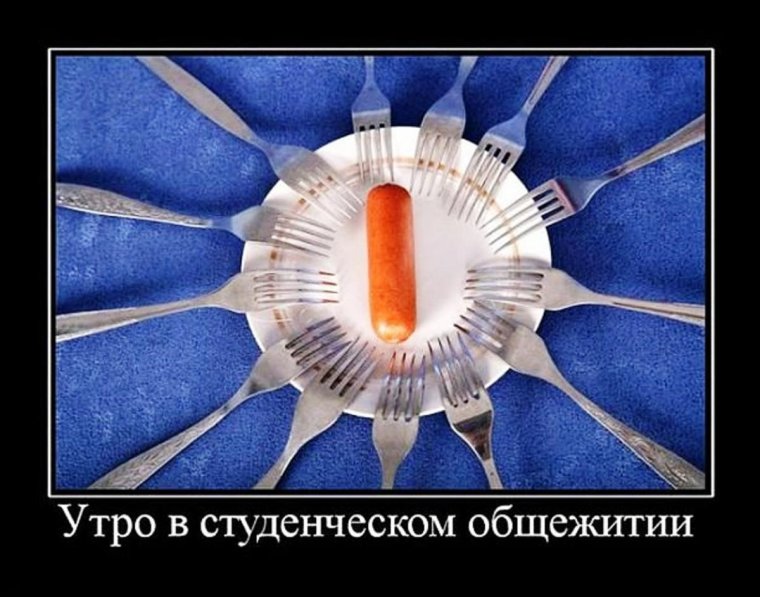 Лекция прикол