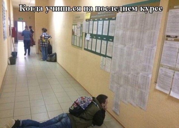 Смешные мемы про учебу в институте