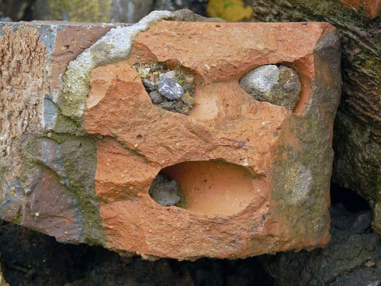 Рожа кирпичом