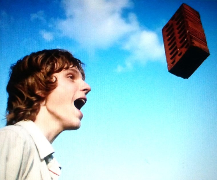 Лови кирпич