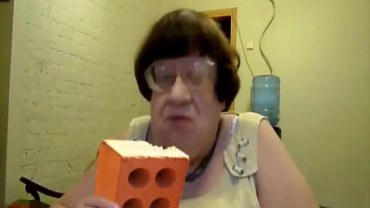 Валерия Новодворская кирпич