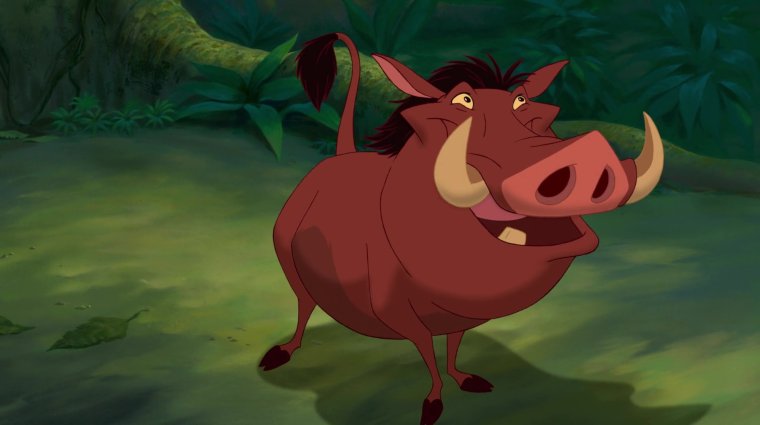 Тимон и Пумба мультфильм