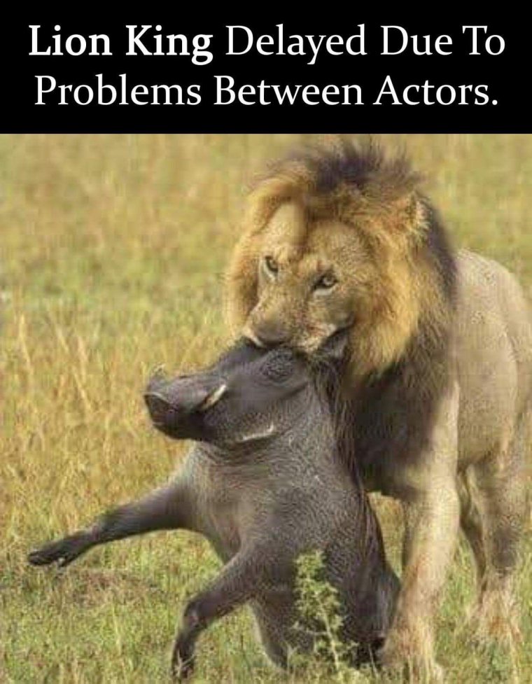 Король Лев фильм Тимон и Пумба