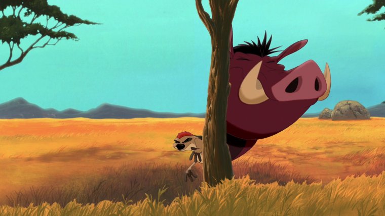 Тимон и Пумба настоящие