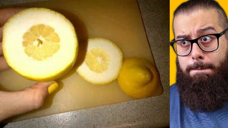 Лимон с толстой кожурой