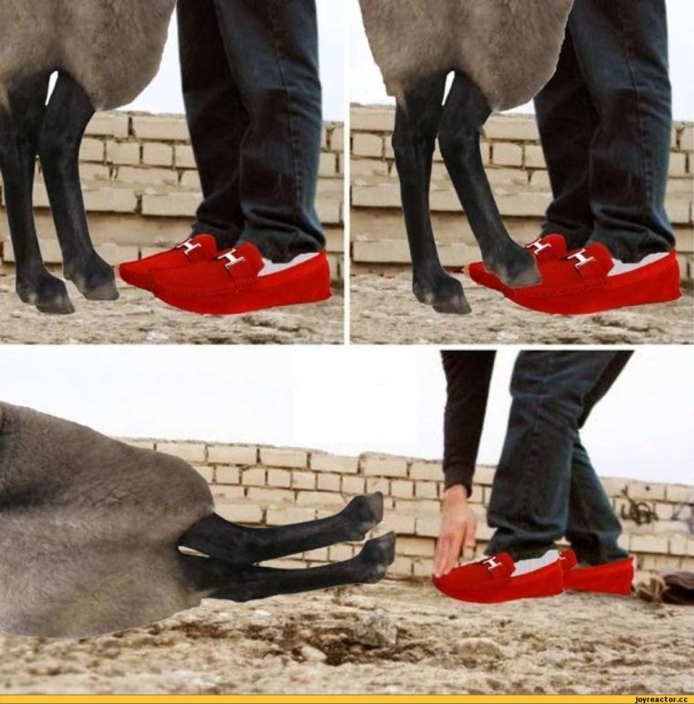 Красные мокасины юмор