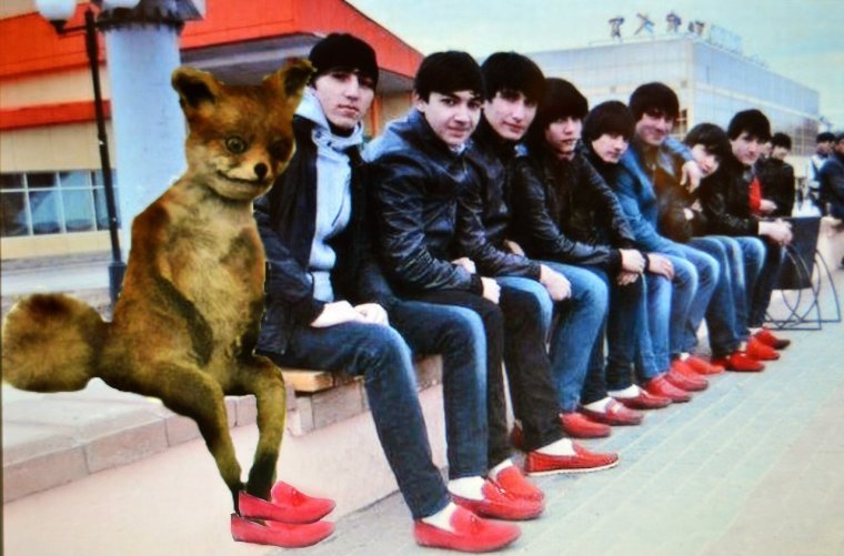 Красные мокасины