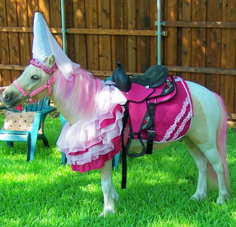 Наряды для лошадей