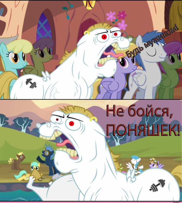 Пони смешные картинки