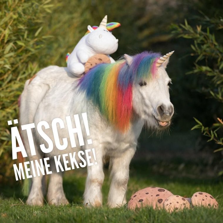 Лошадь «Единорог»