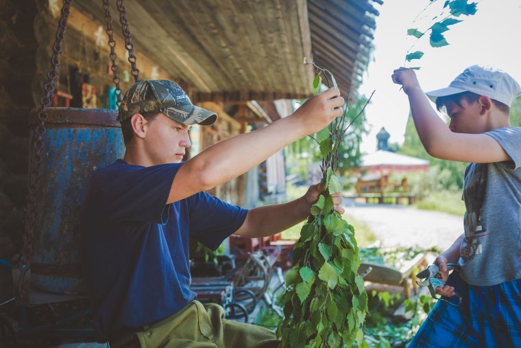 Березовые веники сушеные