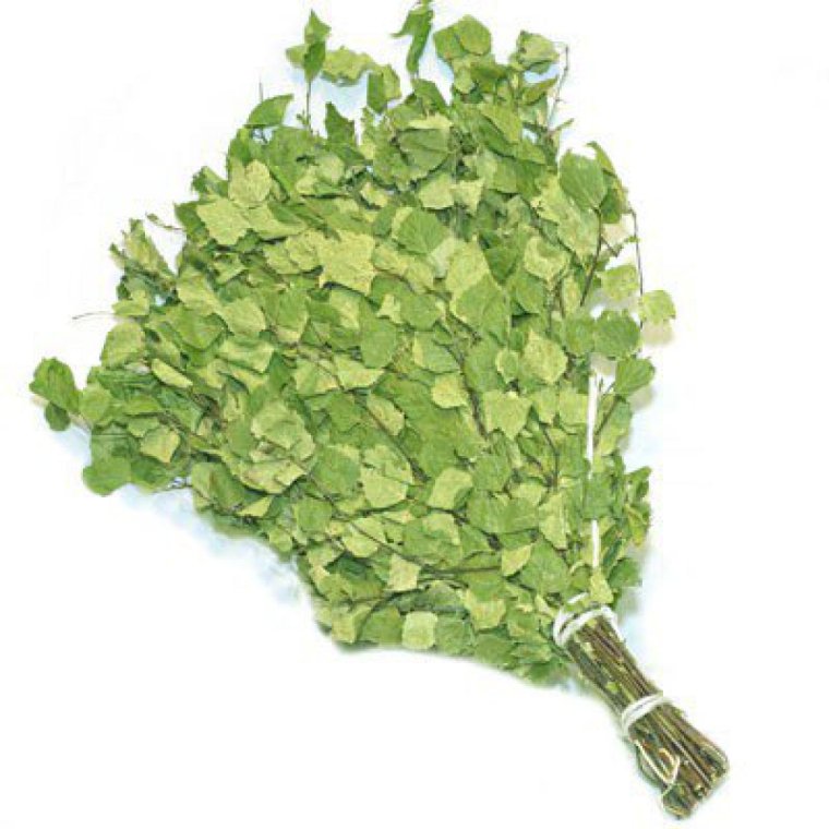 Сбор березовых веников