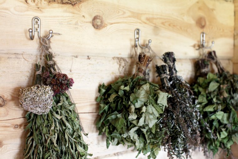 Разные веники