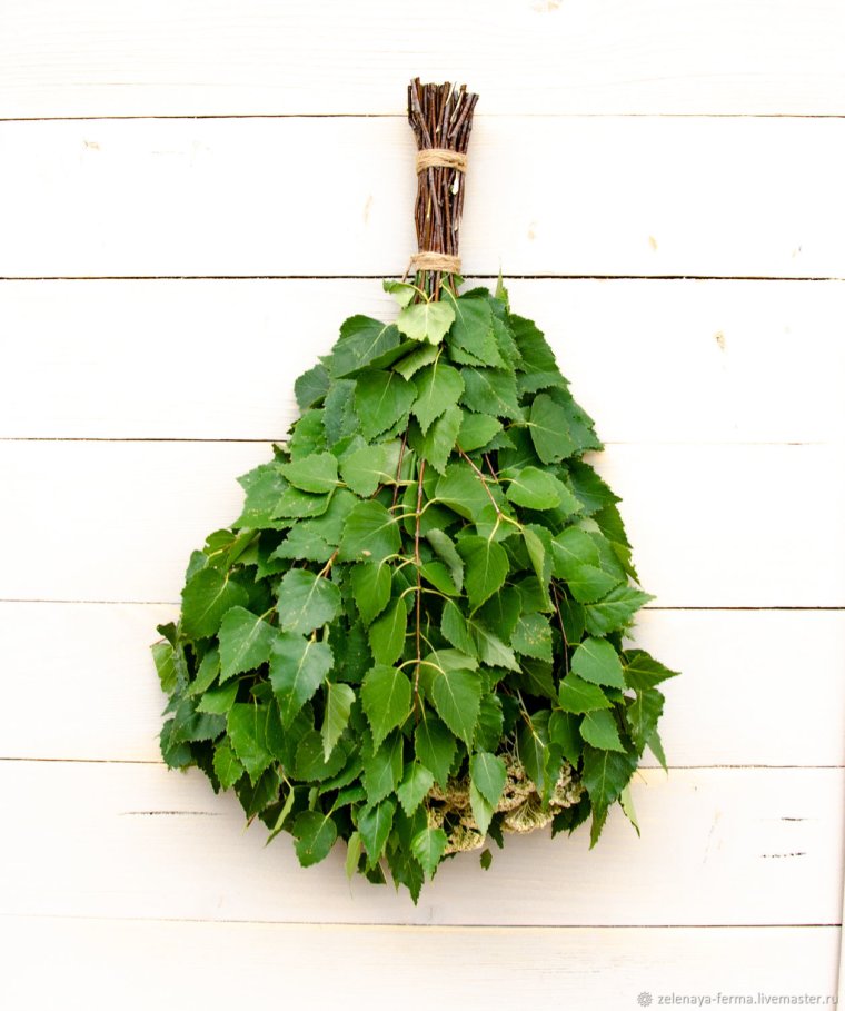 Веники берёзовый Кондратово