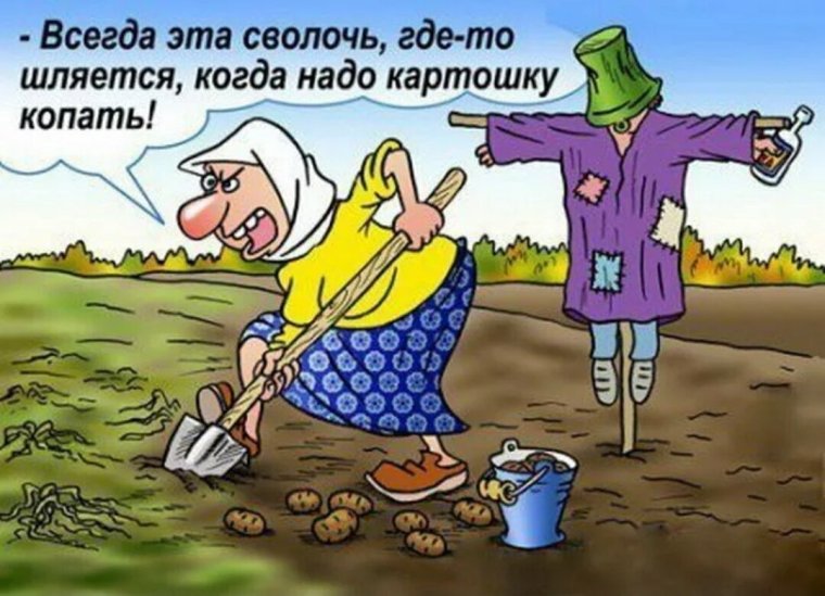 Приколы про огород и дачу