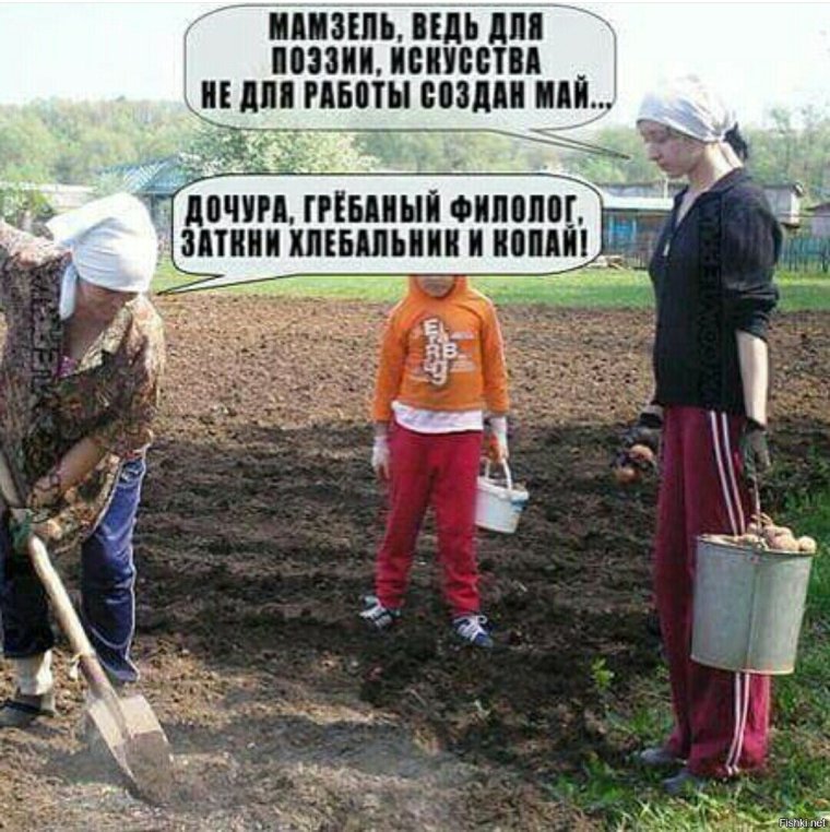 Про огород прикольные