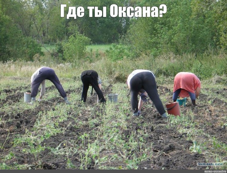 КАМАЗ С картошкой