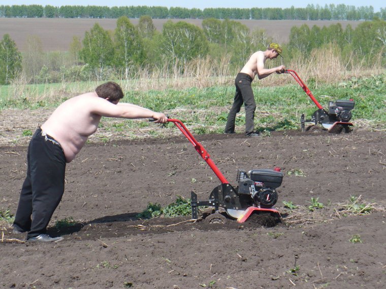 Копка картофеля приколы