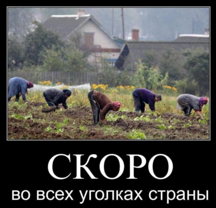 Демотиваторы про дачу