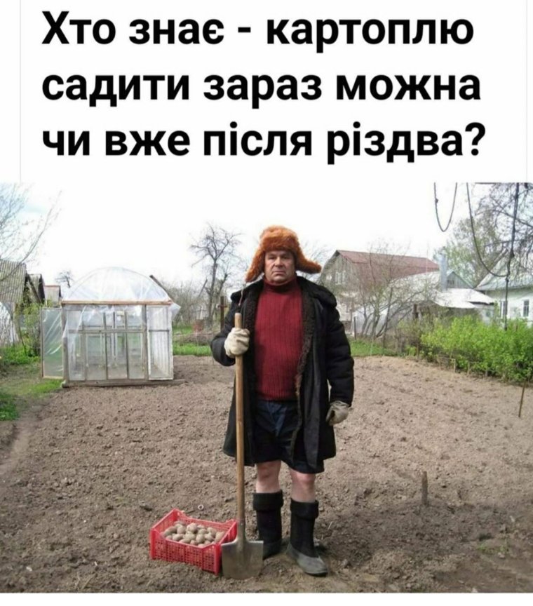 Пора сажать картошку