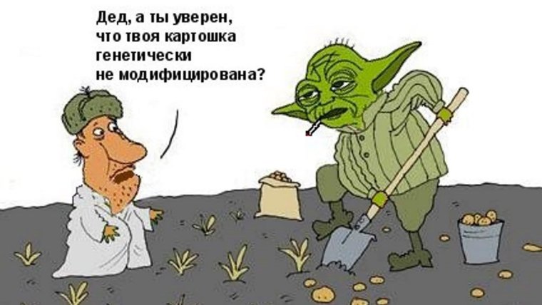 Шутки про копку картофеля