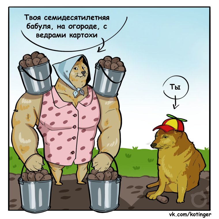 Приколы про садоводов